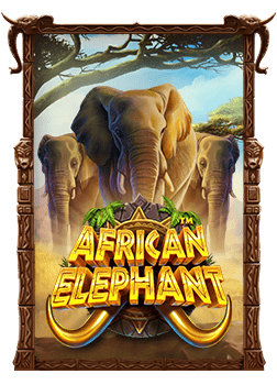 สูตรเล่นสล็อตออนไลน์ที่ All Bet Casino สำหรับมือใหม่